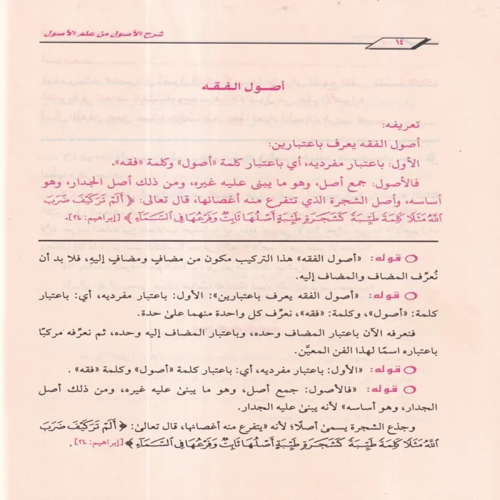 شرح الاصول من علم الاصول
