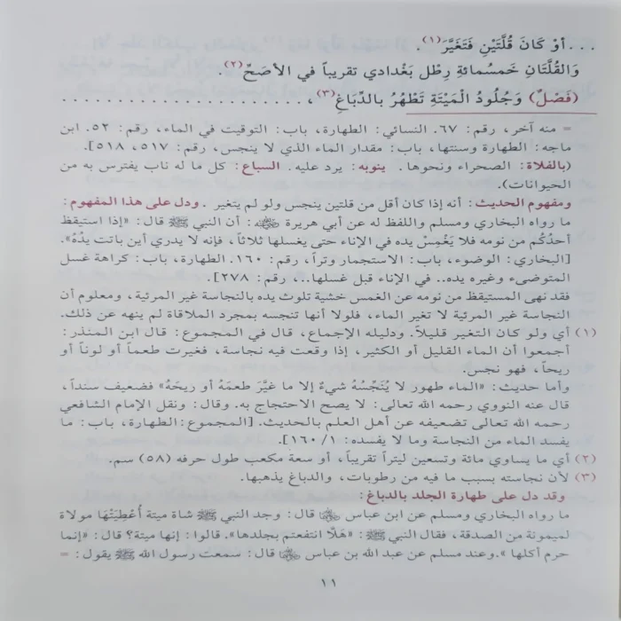 التذهيب في أدلة متن الغاية والتقريب المشهور ب متن أبي شجاع