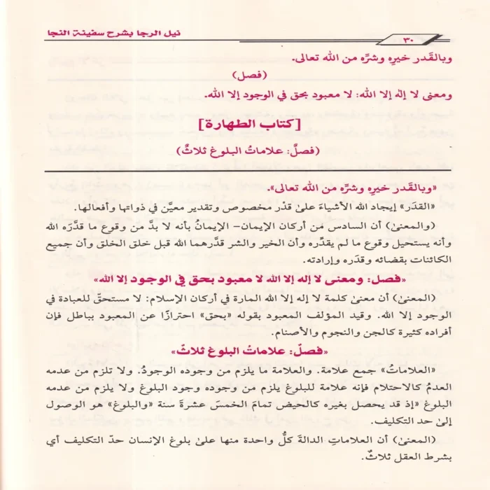 نيل الرجا بشرح سفينة النجا