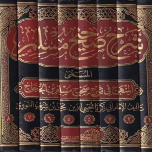 شرح صحيح مسلم