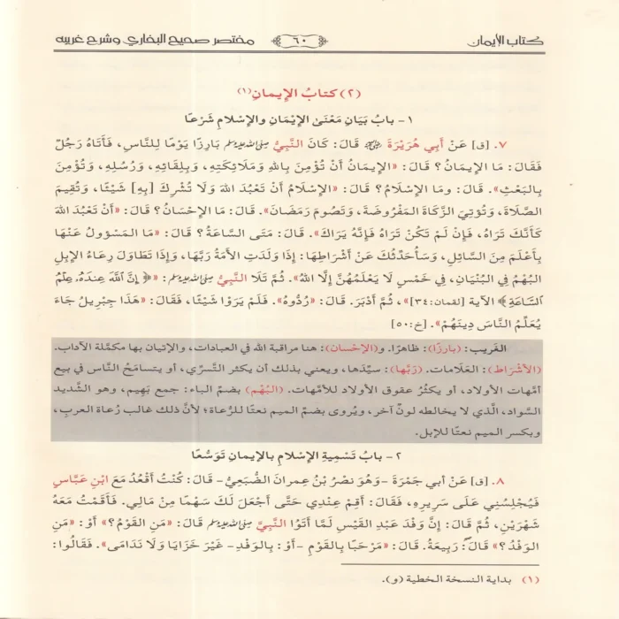 مختصر صحيح البخاري