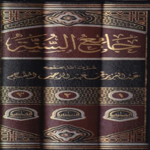 جامع السنة 3/1