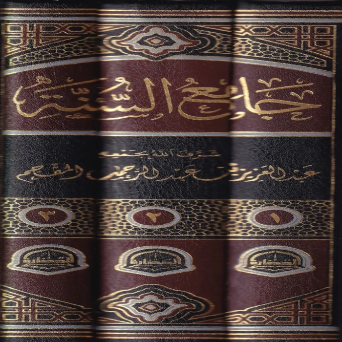 جامع السنة 3/1