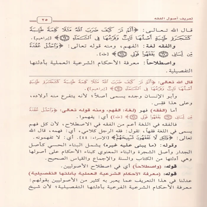 شرح الأصول من علم الأصول