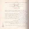 مدنية المسلمين في أسبانيا