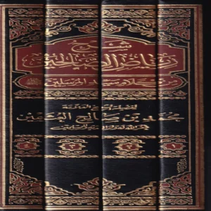 شرح رياض الصالحين من كلام سيد المرسلين صلى الله عليه وسلم