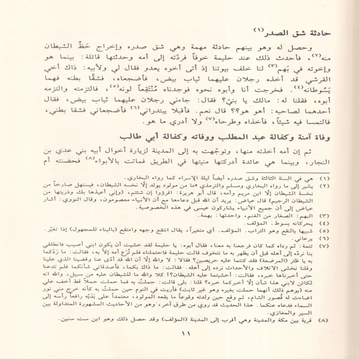 نور اليقين في سيرة سيد المرسلين