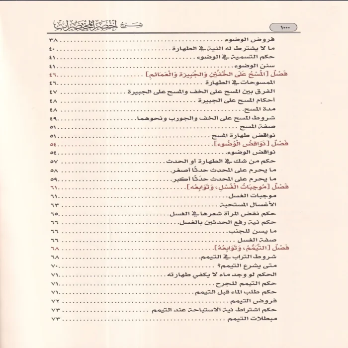 شرح أخصر المختصرات