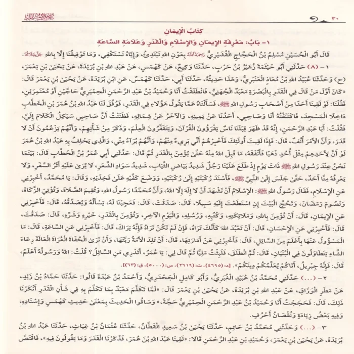 صحيح مسلم
