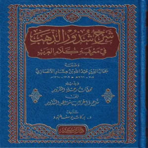 شرح شذور الذهب في معرفة كلام العرب وبذيله محطات رحلة السرور