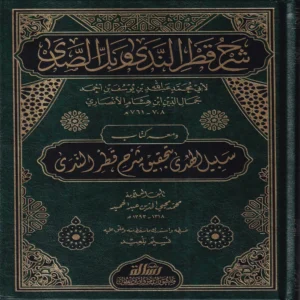 شرح قطر الندى وبل الصدى ومعه كتاب سبيل الهدى بتحقيق شرح قطر الندى