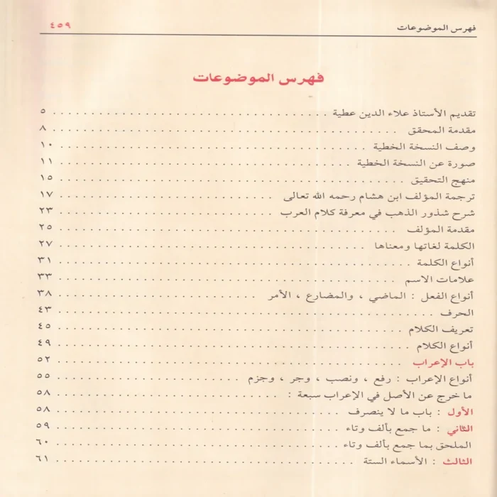 شرح شذور الذهب في معرفة كلام العرب