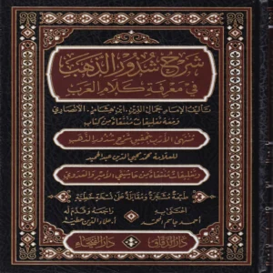 شرح شذور الذهب في معرفة كلام العرب