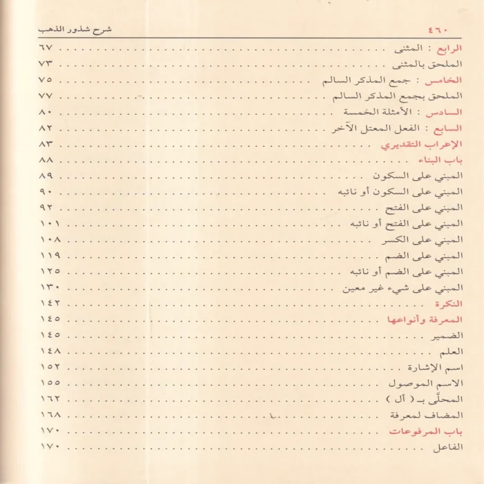 شرح شذور الذهب في معرفة كلام العرب