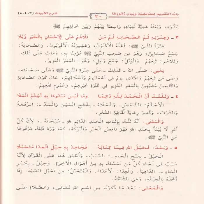 الوافي في شرح الشاطبية
