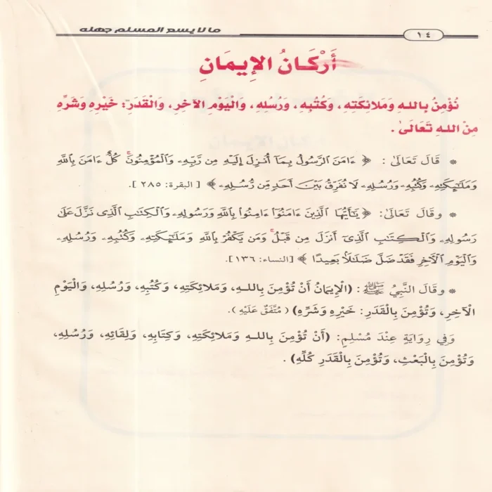ما لا يسع المسلم جهله