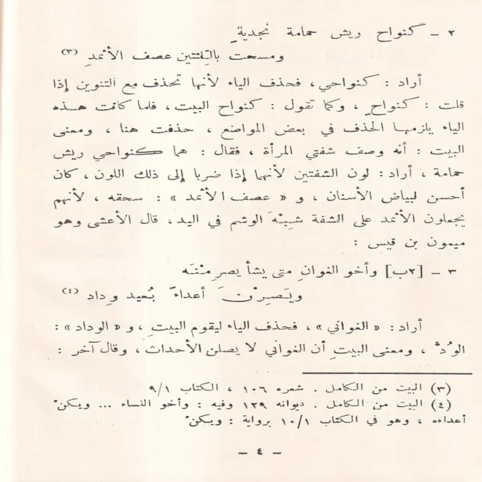 شرح ابيات سيبوية